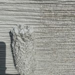 S__148955144_0