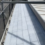 S__148955148_0