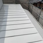 S__148955150_0