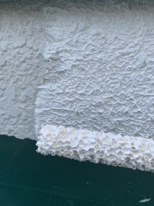 S__152387592_0