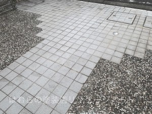 S__72548365