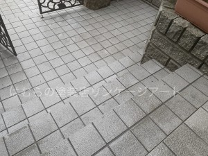 S__72548366